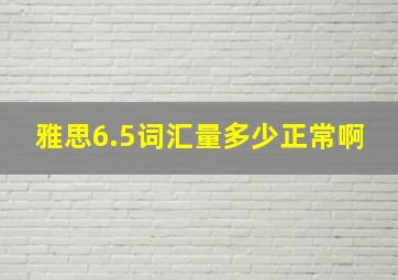 雅思6.5词汇量多少正常啊