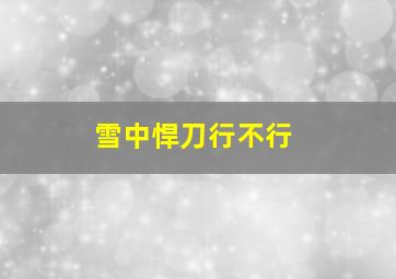 雪中悍刀行不行