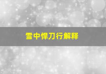 雪中悍刀行解释