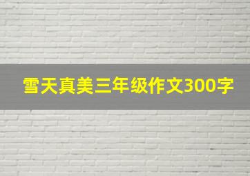 雪天真美三年级作文300字