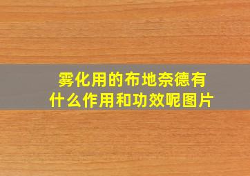 雾化用的布地奈德有什么作用和功效呢图片