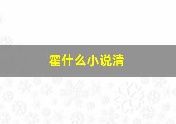 霍什么小说清