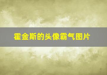 霍金斯的头像霸气图片