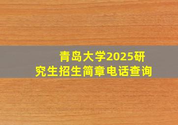 青岛大学2025研究生招生简章电话查询