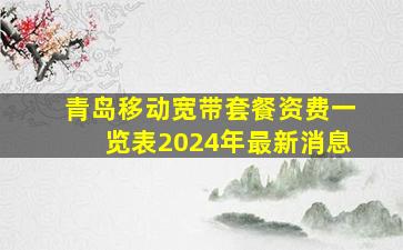 青岛移动宽带套餐资费一览表2024年最新消息