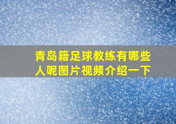 青岛籍足球教练有哪些人呢图片视频介绍一下