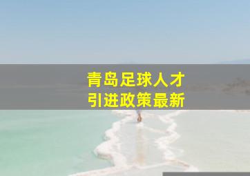 青岛足球人才引进政策最新