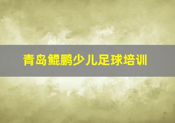 青岛鲲鹏少儿足球培训