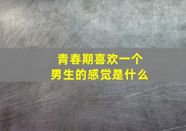 青春期喜欢一个男生的感觉是什么