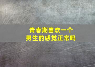 青春期喜欢一个男生的感觉正常吗