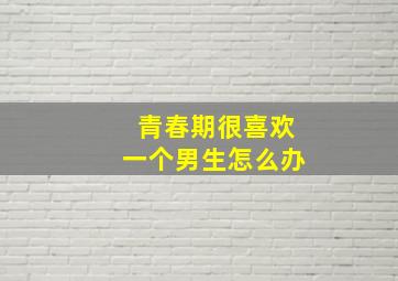 青春期很喜欢一个男生怎么办