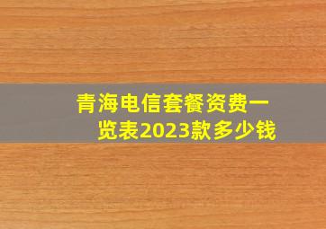 青海电信套餐资费一览表2023款多少钱