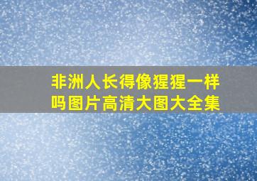 非洲人长得像猩猩一样吗图片高清大图大全集