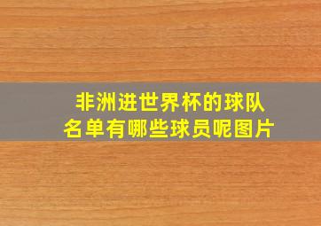 非洲进世界杯的球队名单有哪些球员呢图片