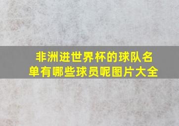 非洲进世界杯的球队名单有哪些球员呢图片大全