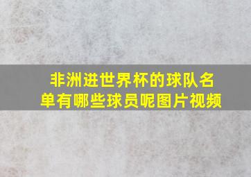 非洲进世界杯的球队名单有哪些球员呢图片视频