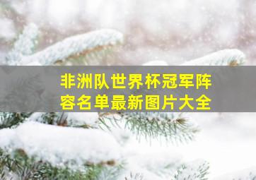 非洲队世界杯冠军阵容名单最新图片大全