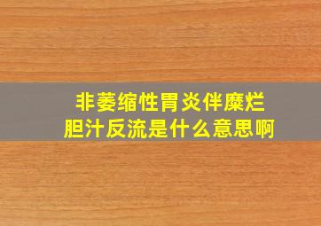 非萎缩性胃炎伴糜烂胆汁反流是什么意思啊