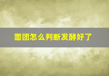 面团怎么判断发酵好了