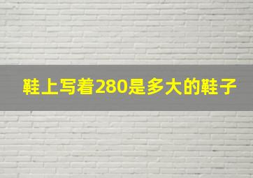 鞋上写着280是多大的鞋子