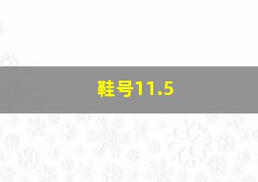 鞋号11.5