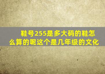 鞋号255是多大码的鞋怎么算的呢这个是几年级的文化