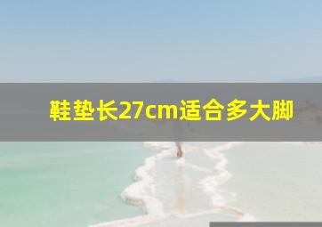 鞋垫长27cm适合多大脚