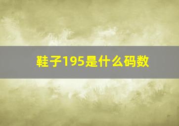 鞋子195是什么码数