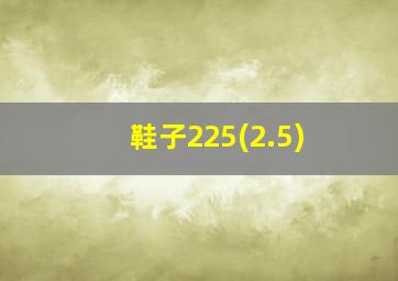 鞋子225(2.5)