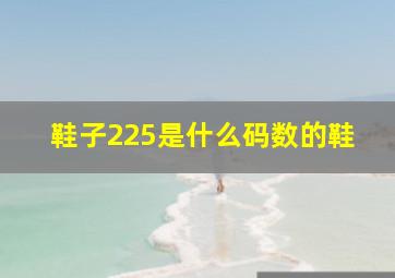 鞋子225是什么码数的鞋