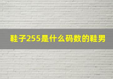 鞋子255是什么码数的鞋男