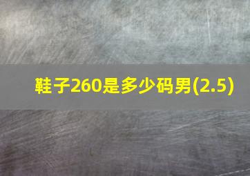 鞋子260是多少码男(2.5)