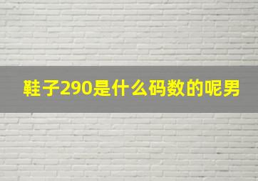 鞋子290是什么码数的呢男