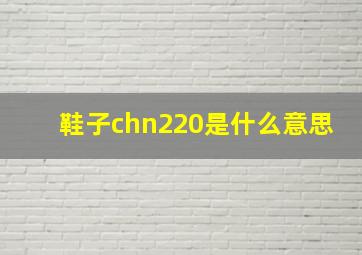 鞋子chn220是什么意思