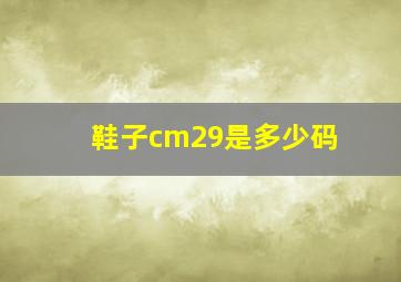 鞋子cm29是多少码