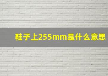 鞋子上255mm是什么意思