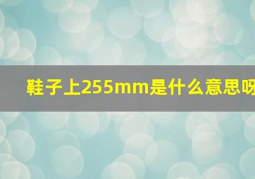 鞋子上255mm是什么意思呀