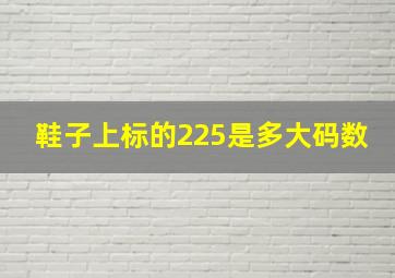 鞋子上标的225是多大码数