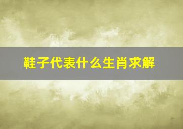 鞋子代表什么生肖求解