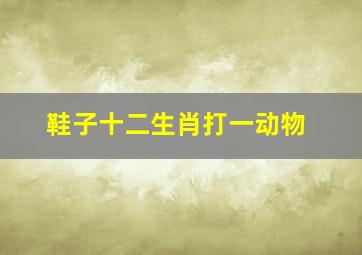 鞋子十二生肖打一动物