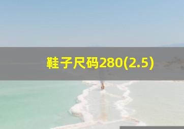 鞋子尺码280(2.5)