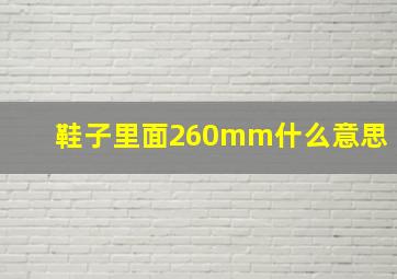 鞋子里面260mm什么意思