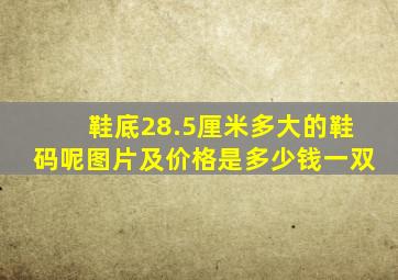 鞋底28.5厘米多大的鞋码呢图片及价格是多少钱一双