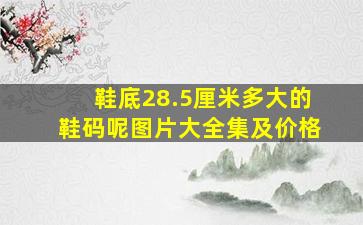 鞋底28.5厘米多大的鞋码呢图片大全集及价格