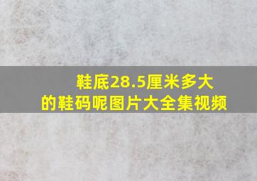 鞋底28.5厘米多大的鞋码呢图片大全集视频