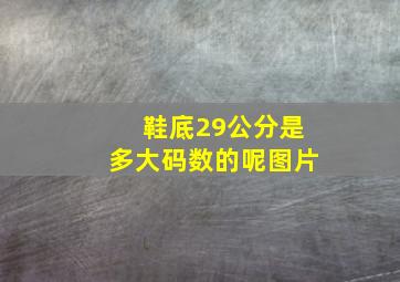 鞋底29公分是多大码数的呢图片