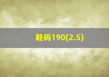 鞋码190(2.5)