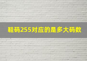 鞋码255对应的是多大码数