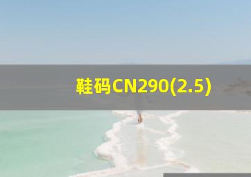 鞋码CN290(2.5)