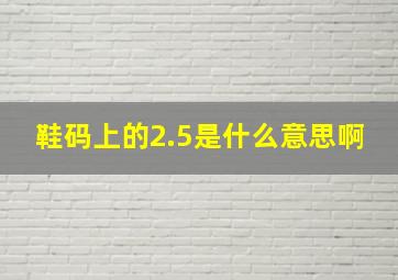 鞋码上的2.5是什么意思啊